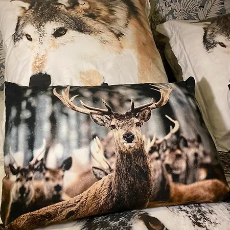 Tatil Evi Maison Pyrenees