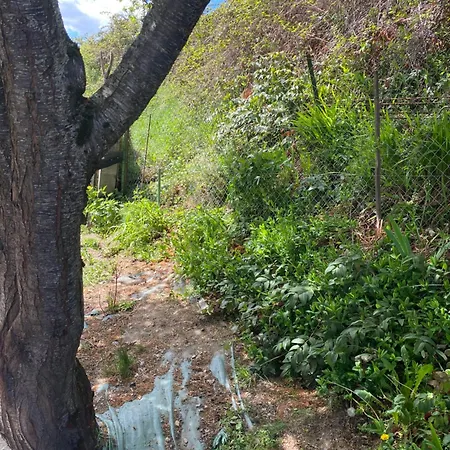 Maison Pyrenees Tatil Evi *