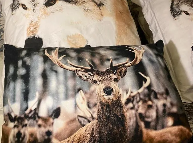 Hébergement de vacances Maison Pyrénées