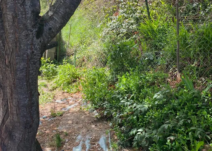 Maison Pyrenees Holiday home *